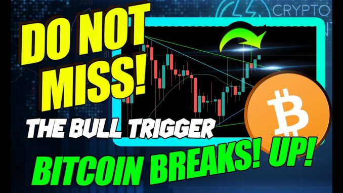 BITCOIN FRENZY CONTINUES!! URGENT MUST WATCH FOR CARDANO...IS IT TOO LATE TO BUY?