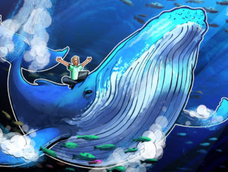 Bitcoin whales feast as BTC price and the wider market melt down