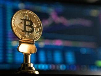Bitcoin S2F Creator: The Next 6 Months Will Make or Break the Model 16