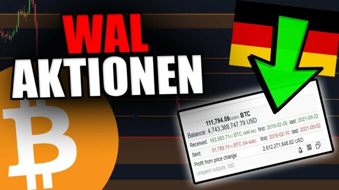 ACHTUNG!!! DER GRÖßTE BITCOIN WAL HAT GERADE DAS HIER GEMACHT!