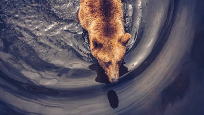First Mover Asia: Bitcoin Slumps to Below $48K Ahead of First Mover Asia: Bitcoin Slumps to Below $48K Ahead of $6B Options Expiry