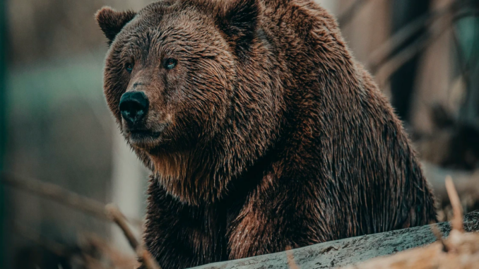 Market Wrap: Cryptocurrency Sell-Off Pauses as Sentiment Turns Bearish Market Wrap: Cryptocurrency Sell-Off Pauses as Sentiment Turns Bearish