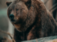 Market Wrap: Cryptocurrency Sell-Off Pauses as Sentiment Turns Bearish