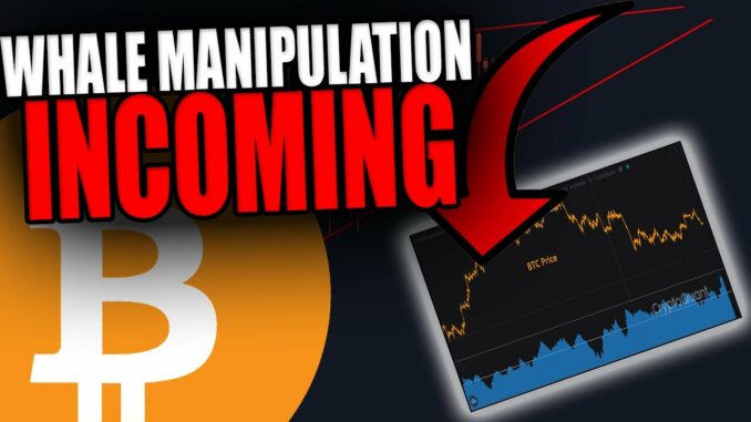 THESE BITCOIN WHALES ARE ABOUT TO MAKE THIS BIG MOVE!