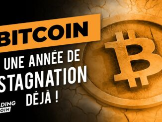 Bitcoin : une année de stagnation déjà !
