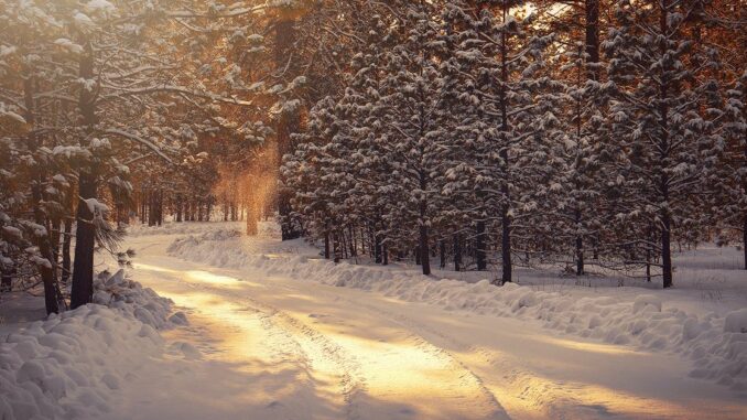 Bitcoin Holds Fast Over 16K, but Crypto Winter Could Be Bitcoin Holds Fast Over 16K, but Crypto Winter Could Be Prolonged