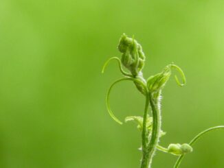 Regenerative Finance Brings Sustainability to Crypto - Crypto 2023