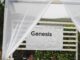 Genesis Owes Over $3.5B to Top 50 Creditors