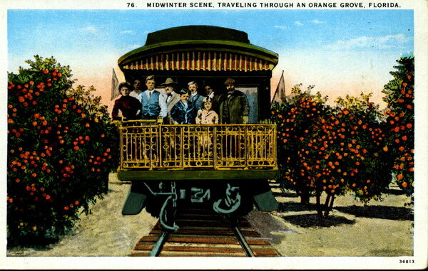 Does SEC Chair Gary Gensler have the final say? – Midwinter scene, Traveling through an orange grove