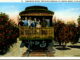 Midwinter scene, Traveling through an orange grove