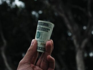 BALD Memecoin Delivers 40,000x Return on Coinbase’s Base Blockchain