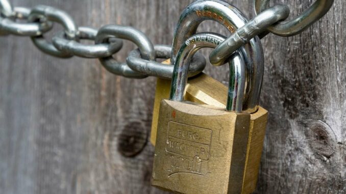 Privacy Protection Is Among Key Wants for CBDCs, BIS Says Camomile Shumba