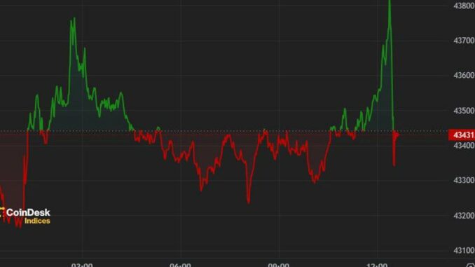 SOL, ADA Lead Losses as Market Starts Week in the Jamie Crawley